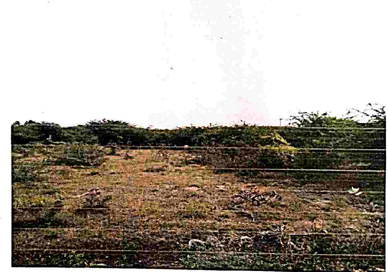 course